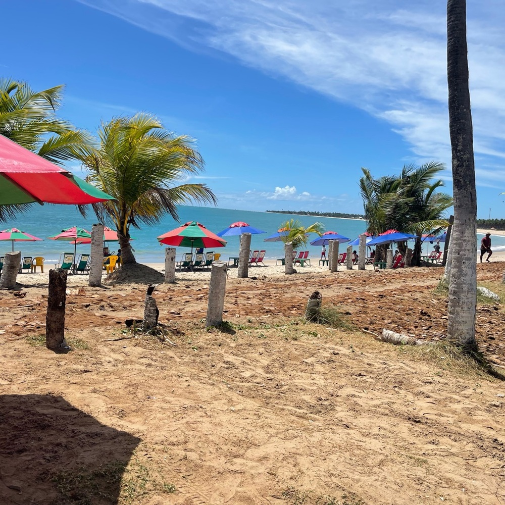 Meet your Posher, Maddox